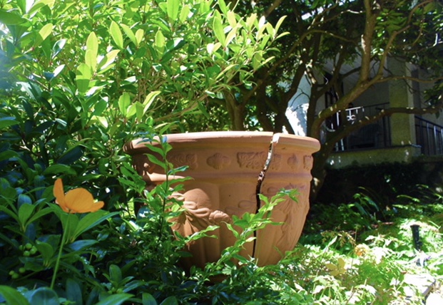 4FD8D2E9-5217-443F-853D-807B66815188